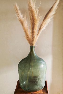 Dried Pampas Grass Bunch