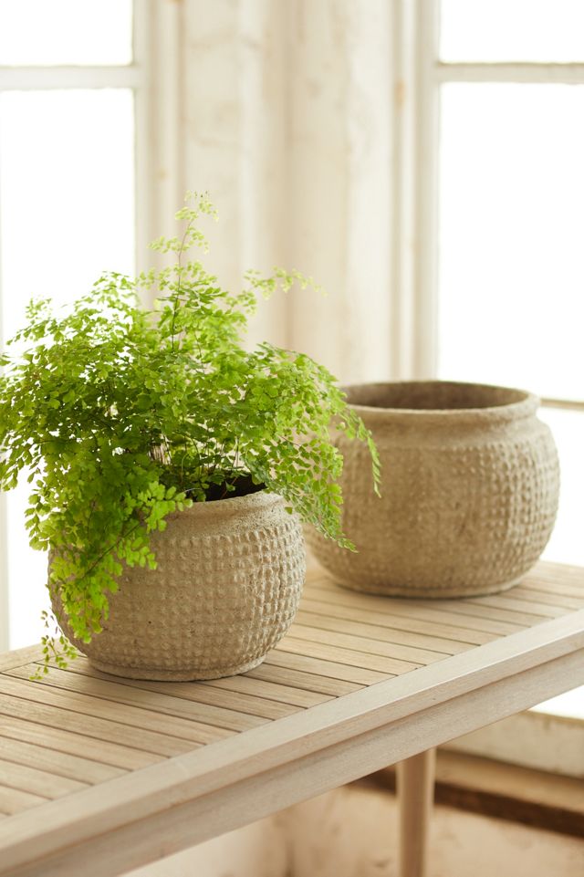 Texture Grid Fiber Pot, Small | Terrain