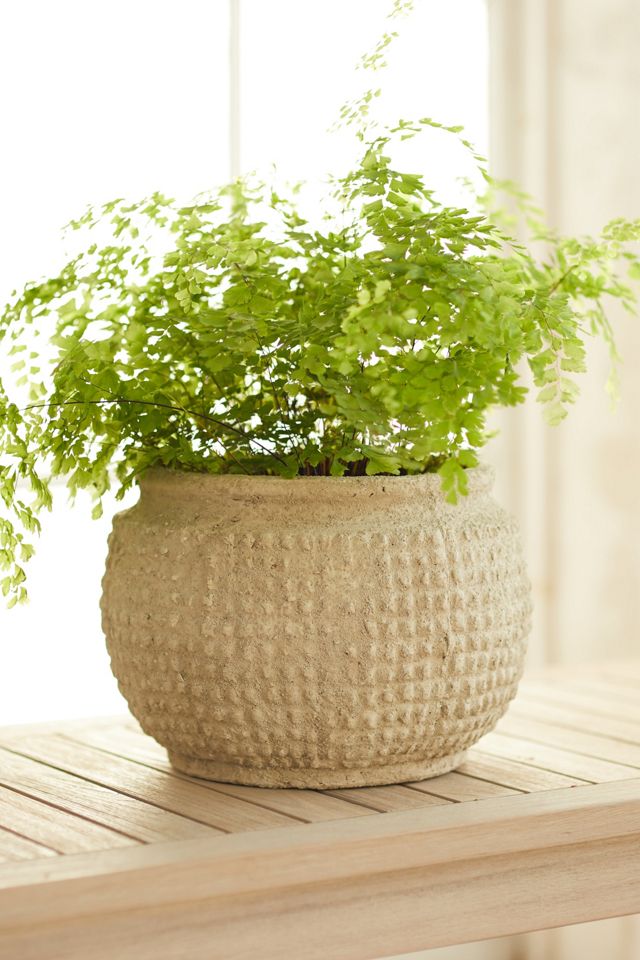 Texture Grid Fiber Pot, Small | Terrain