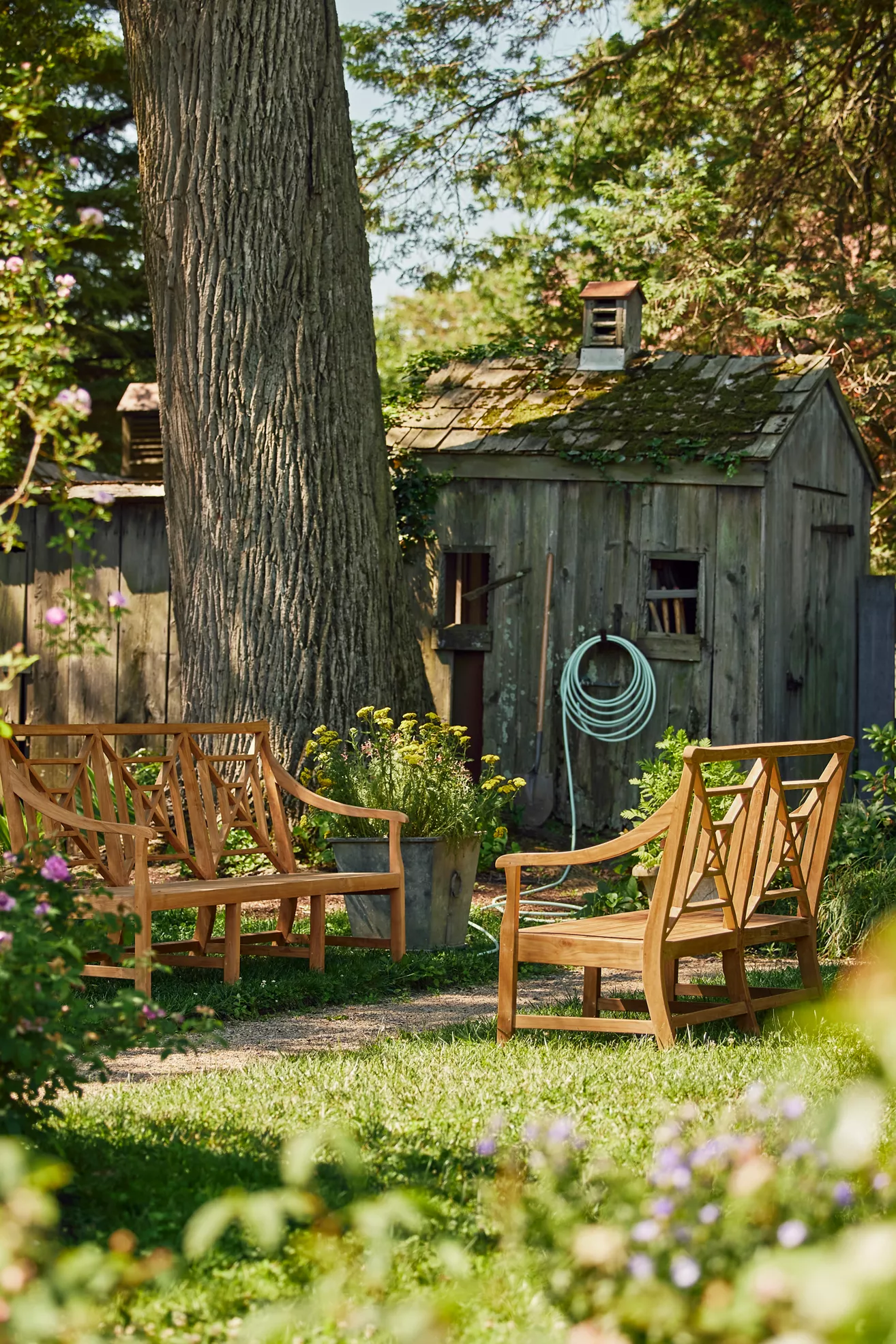 Set of teak benches arranged in a garden with trees and shed in background