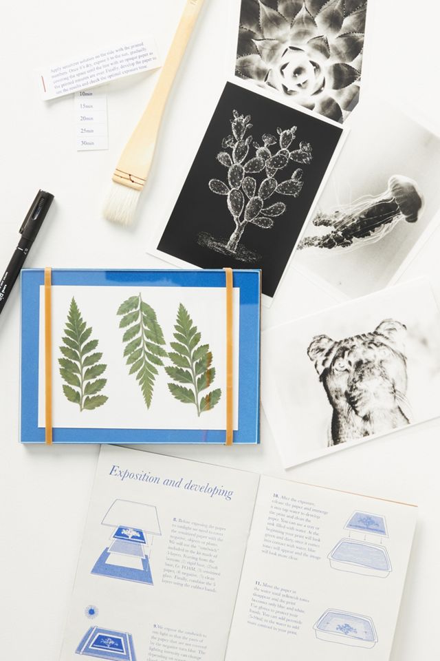 DIY Cyanotype Printing Kit #1