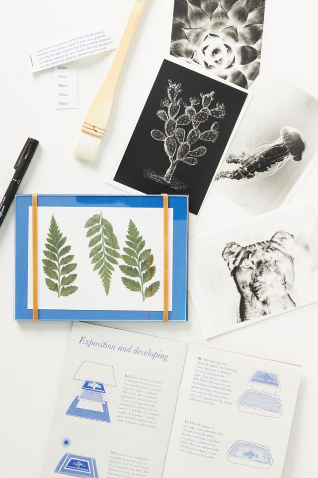 Kit DIY Coffret création Cyanotype - Botanopia – Hersée