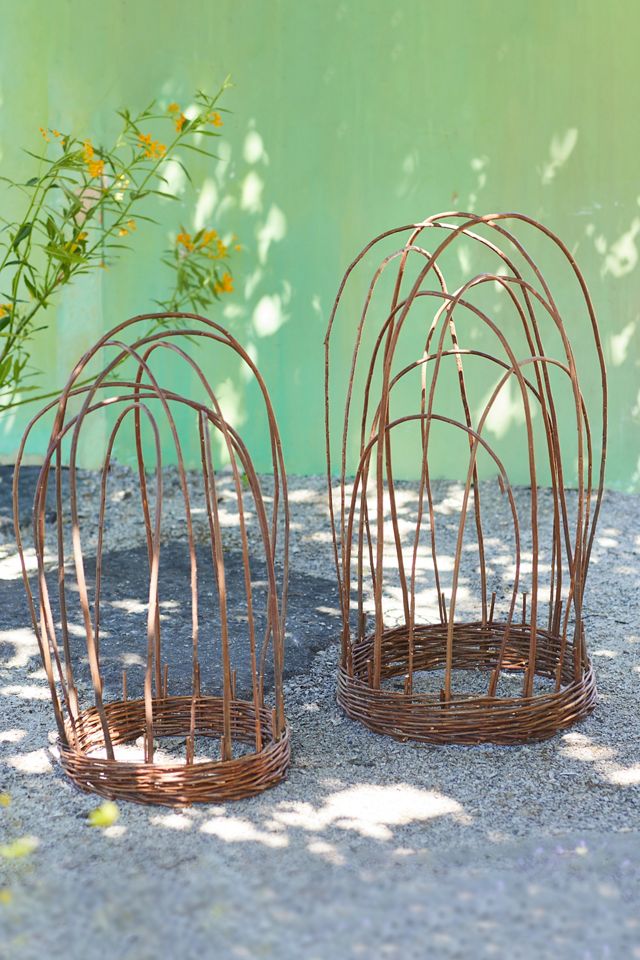 Woven Willow Cloche #1