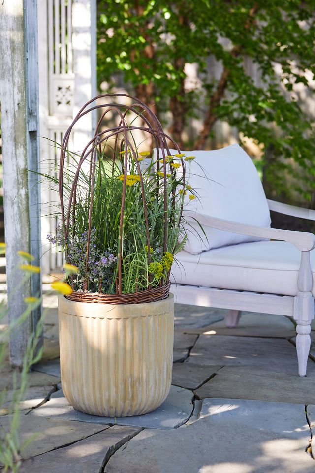 Woven Willow Cloche #2