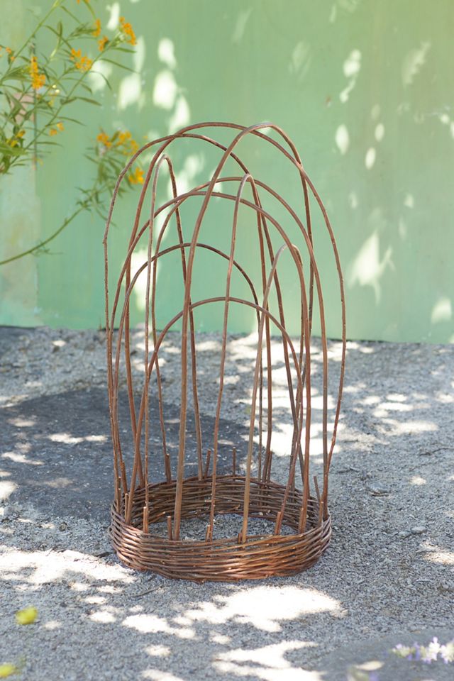 Woven Willow Cloche #3