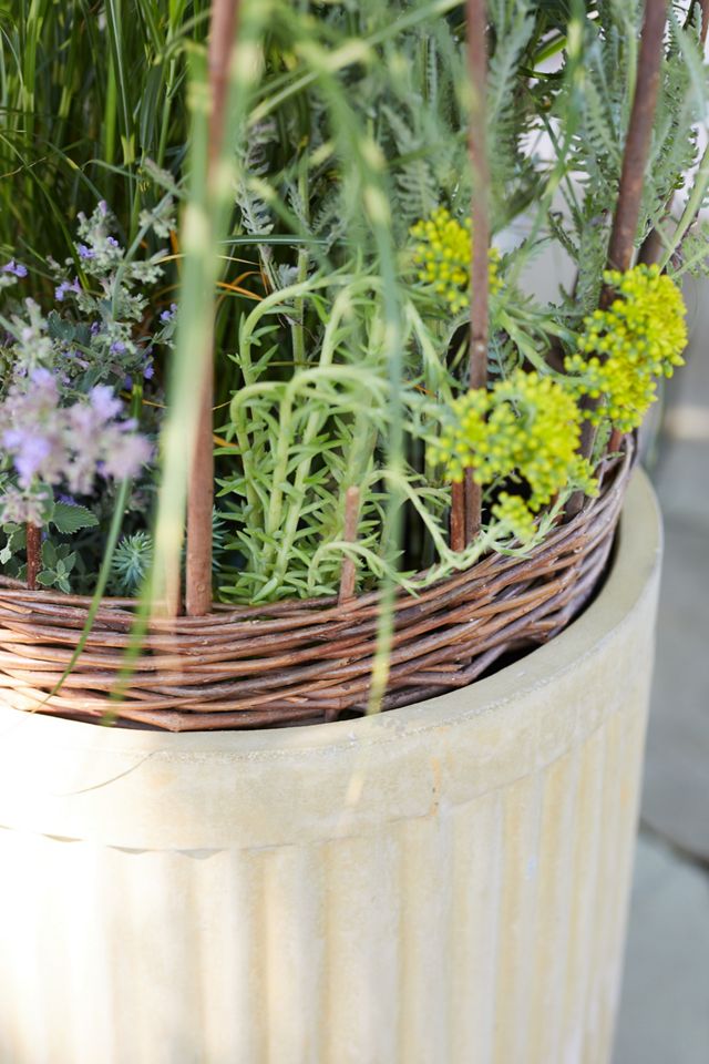 Woven Willow Cloche #4