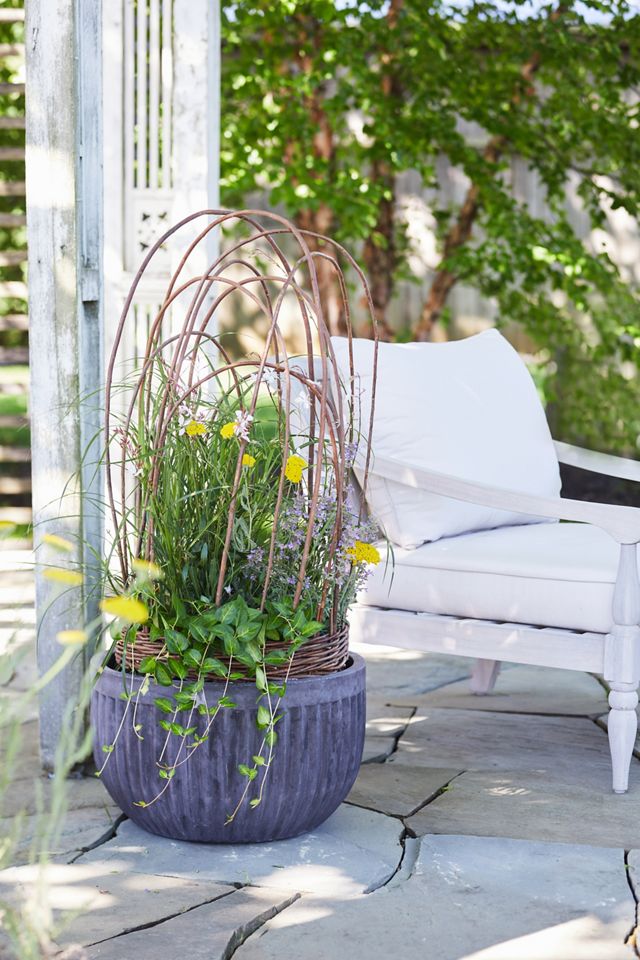 Woven Willow Cloche #5