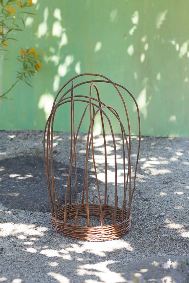 Woven Willow Cloche #6