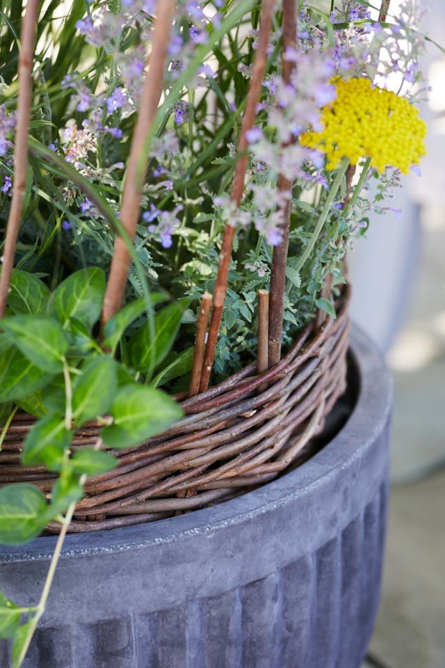 Woven Willow Cloche #7