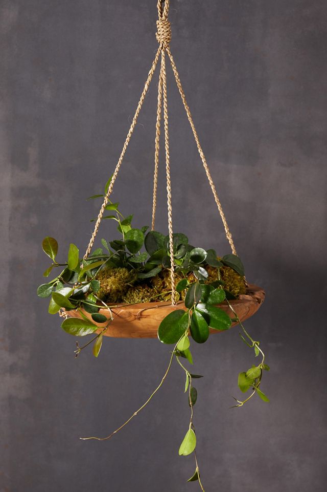 Carved Teak Hanging Basket Planter #1