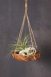 Carved Teak Hanging Basket Planter #3