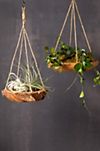 Carved Teak Hanging Basket Planter