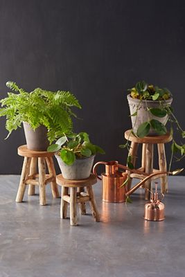 Teak Plant Stand, Short - Terrain