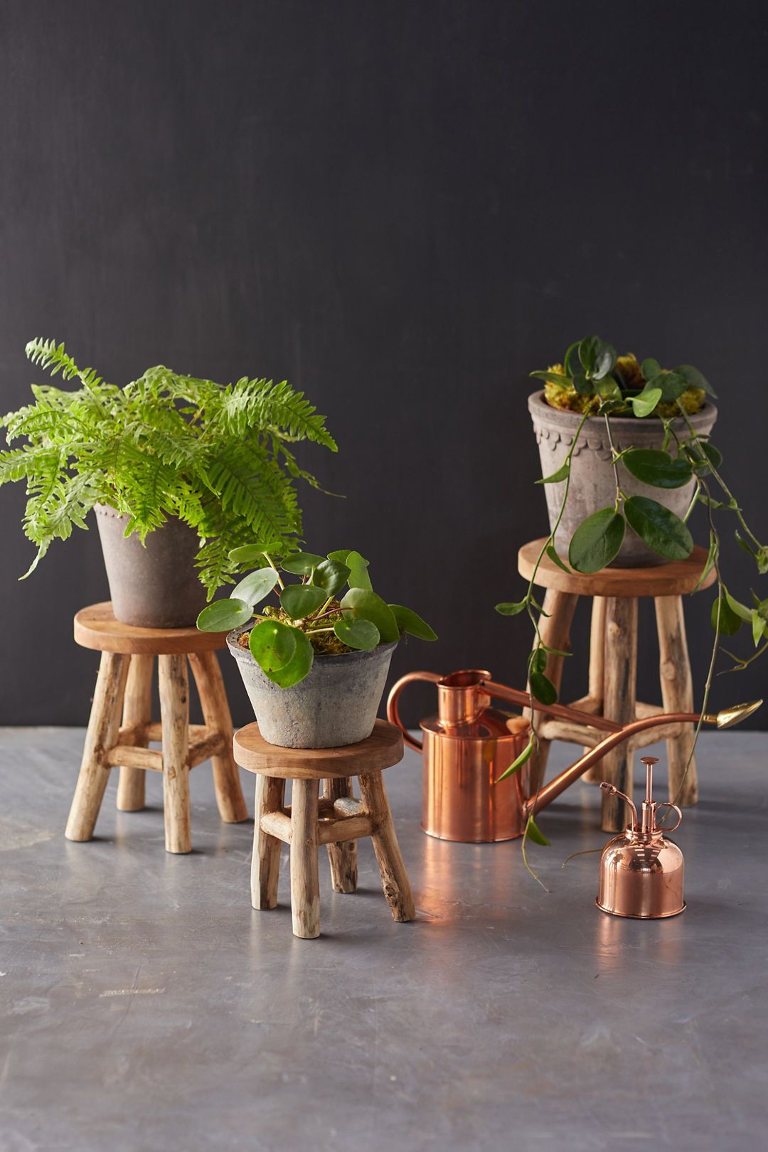 Teak Plant Stand, Tall - Natural, L