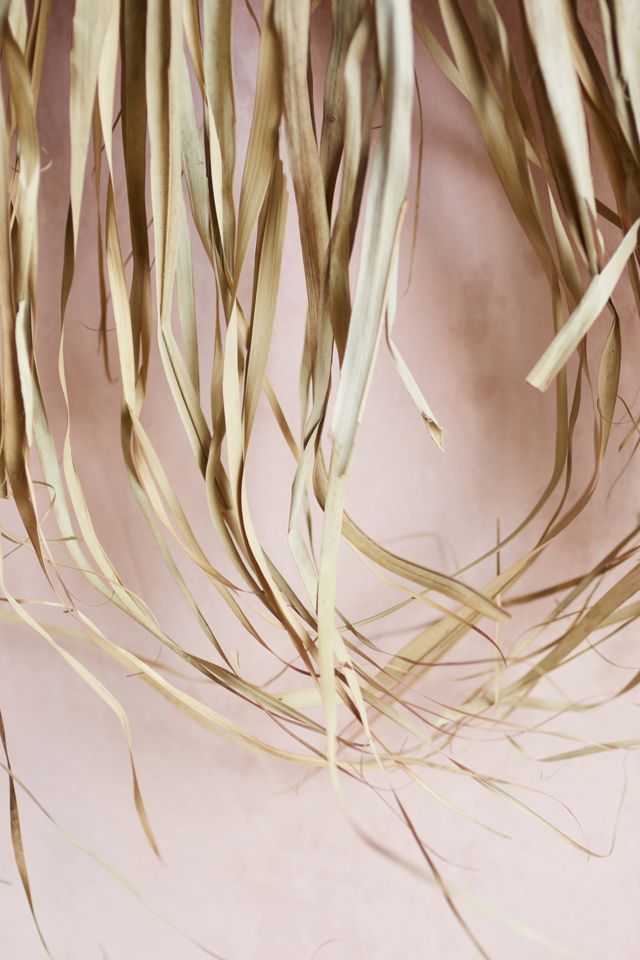 Palm Leaf Wall Hanging #3
