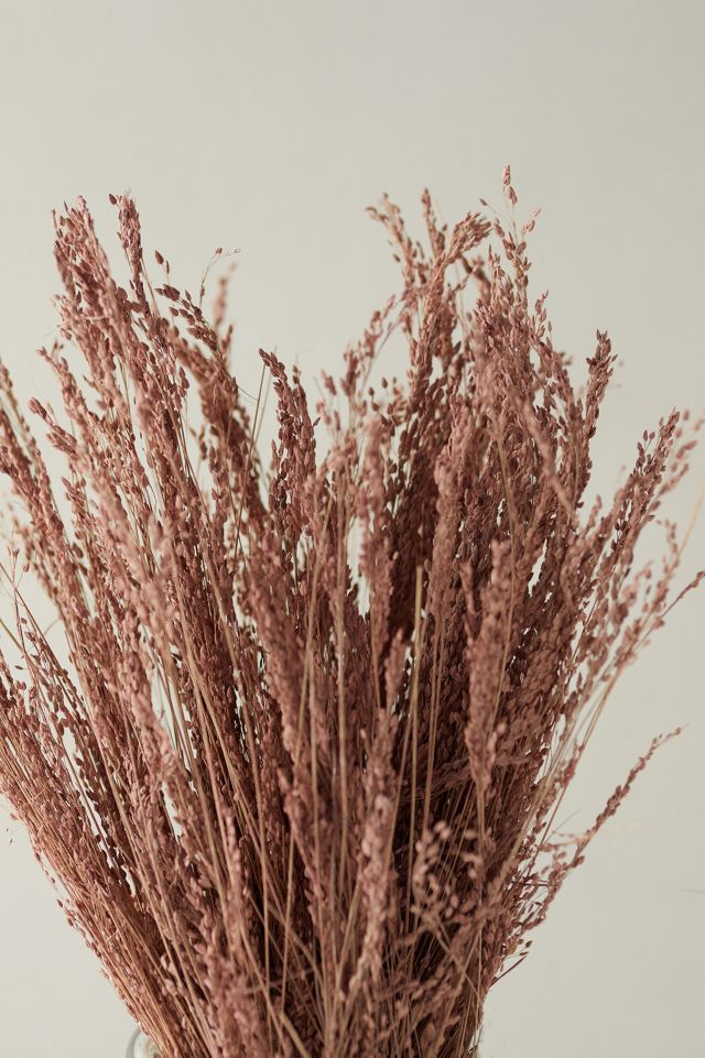 Preserved Star Grass Bunch #1