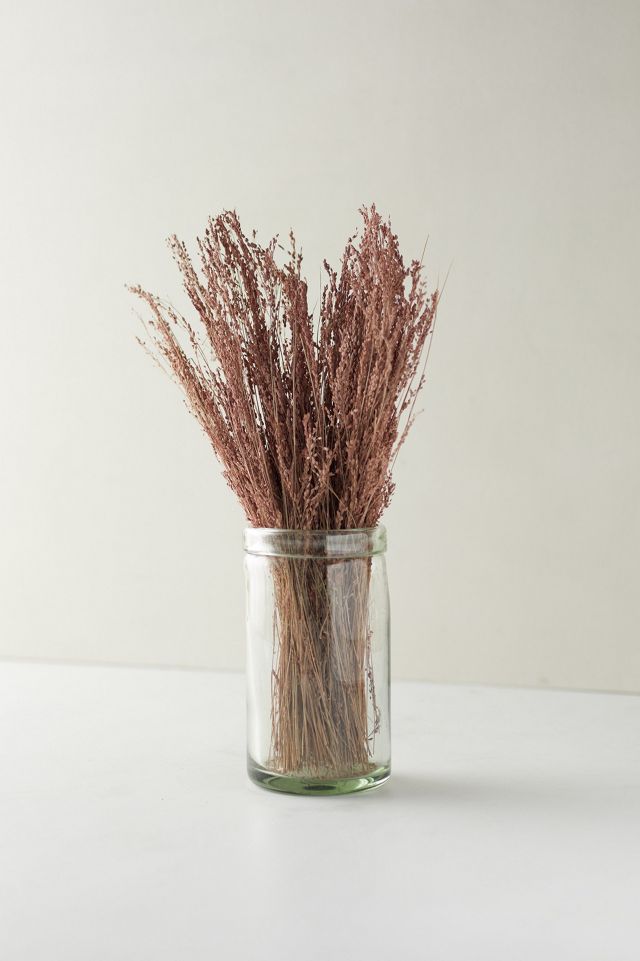 Preserved Star Grass Bunch #2