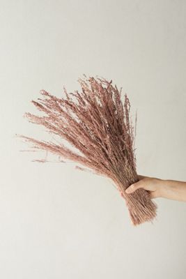 Preserved Star Grass Bunch
