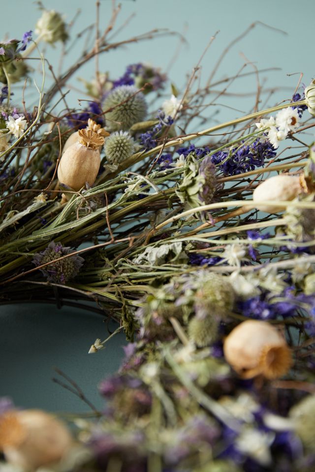 Preserved Blue Poppy Wreath #2