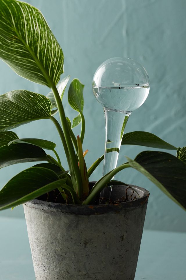 Watering System Globe #1