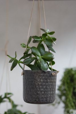 Hanging Metal Pot