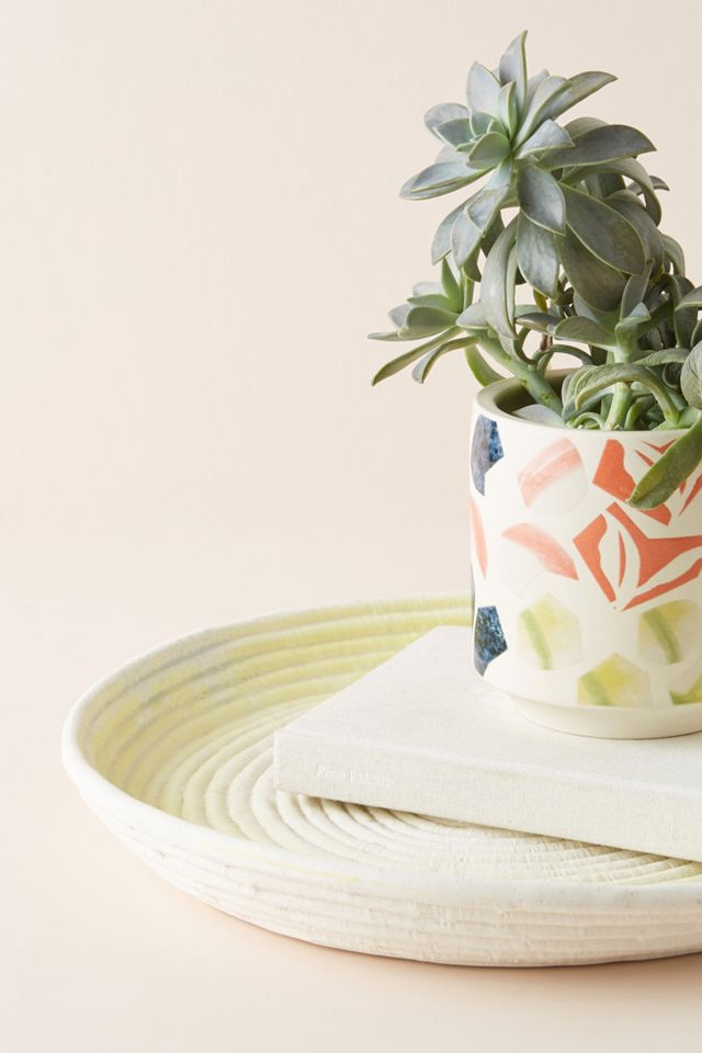 Fern Decorative Tray #1