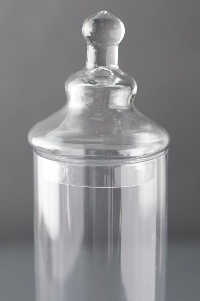 Lidded Apothecary Terrarium #3