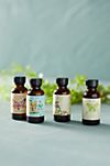 Daydream Simple Syrups, Set of 4 #1