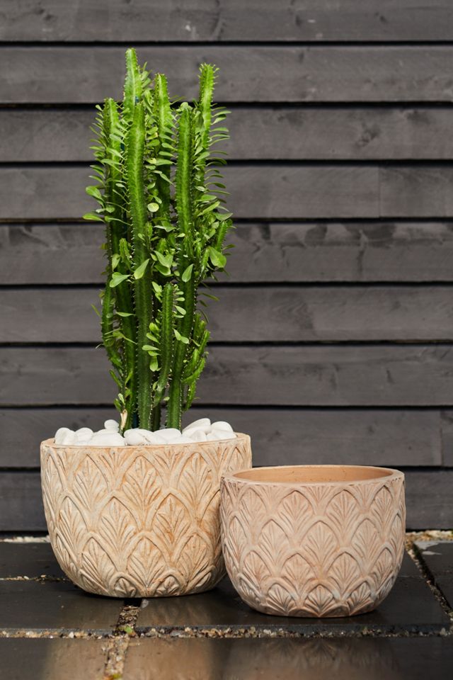 Textured Botanicals Ceramic Planter #1
