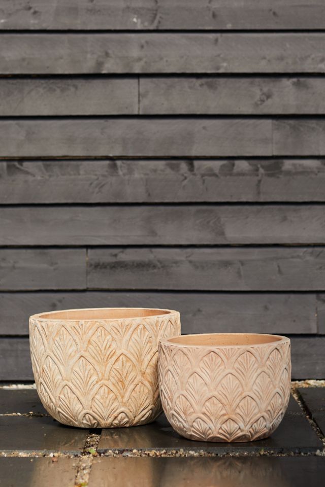 Textured Botanicals Ceramic Planter #2