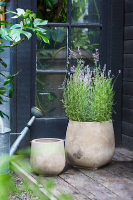 Terrain Aged Ceramic Planter Review: Stylish, Durable, Worth It?