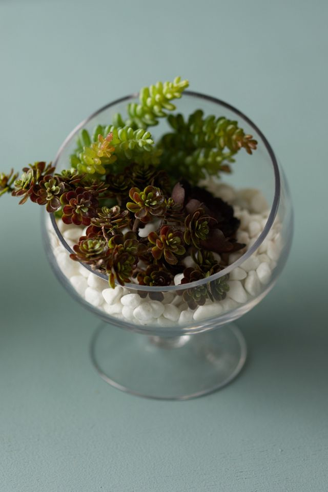 Footed Spotlight Terrarium, Small #2