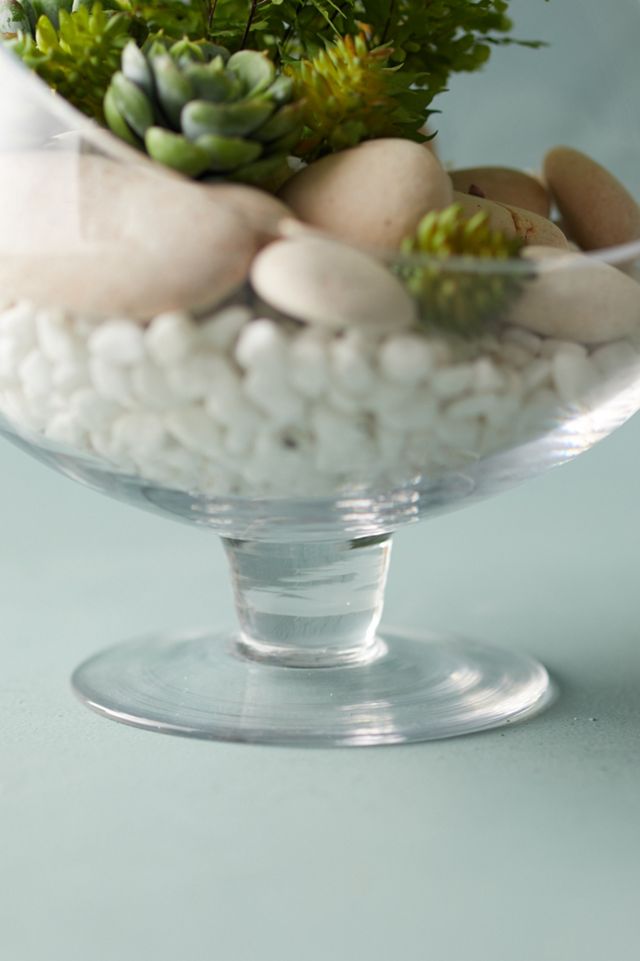 Footed Spotlight Terrarium, Small #3