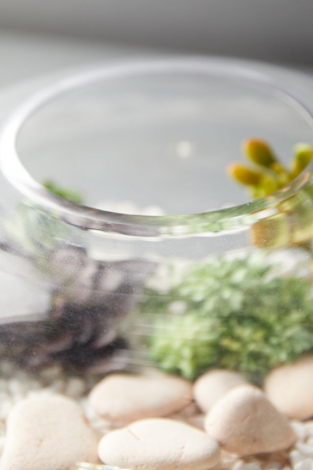 Sphere Terrarium, Small #2