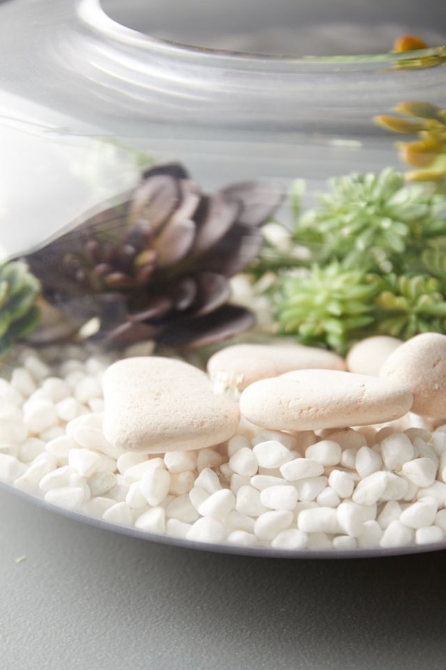 Sphere Terrarium, Small #3