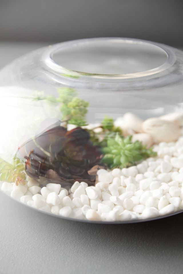 Sphere Terrarium, Small #4