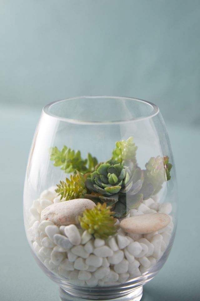 Rounded Vase Terrarium #2