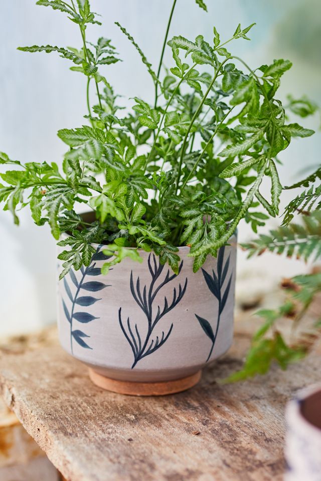 Ceramic Botanics Footed Planter #3