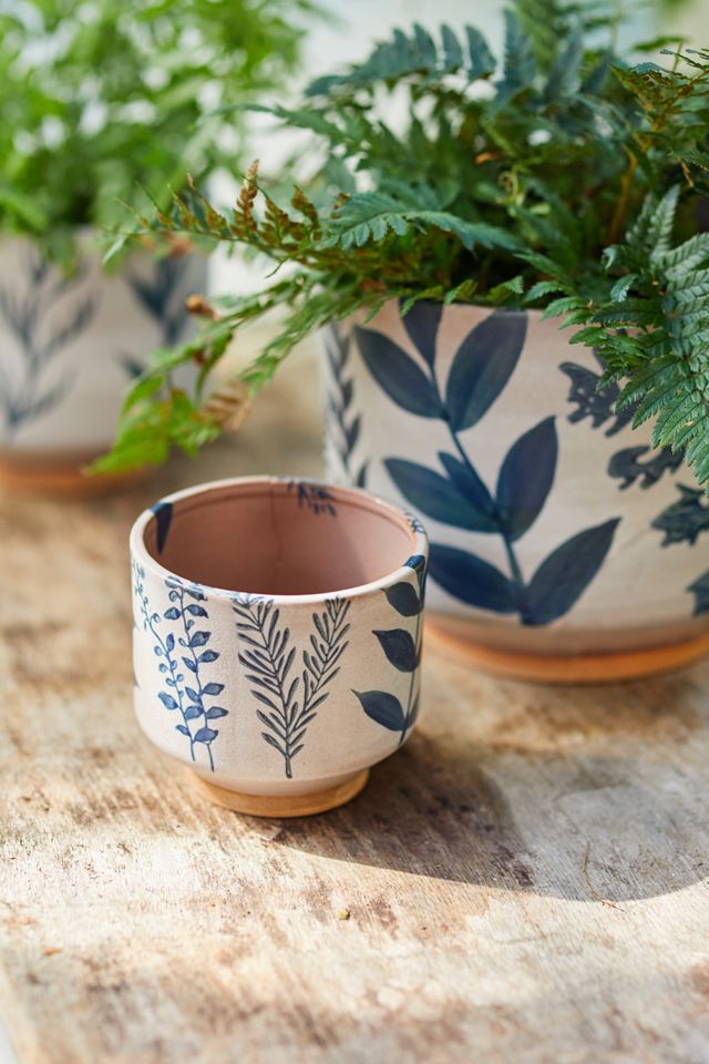 Ceramic Botanics Footed Planter #4