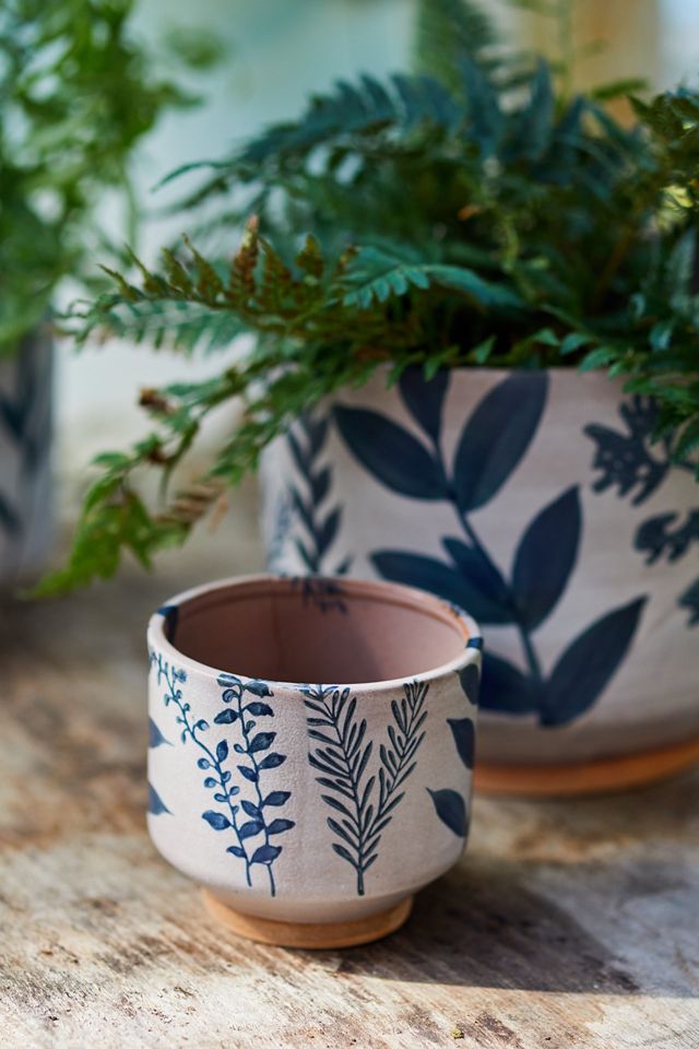 Ceramic Botanics Footed Planter #5