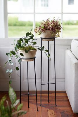 Terrain Tall Iron Plant Stand In Black