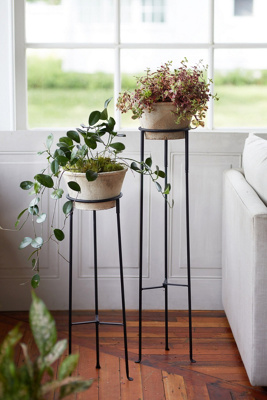 Terrain Tall Iron Plant Stand