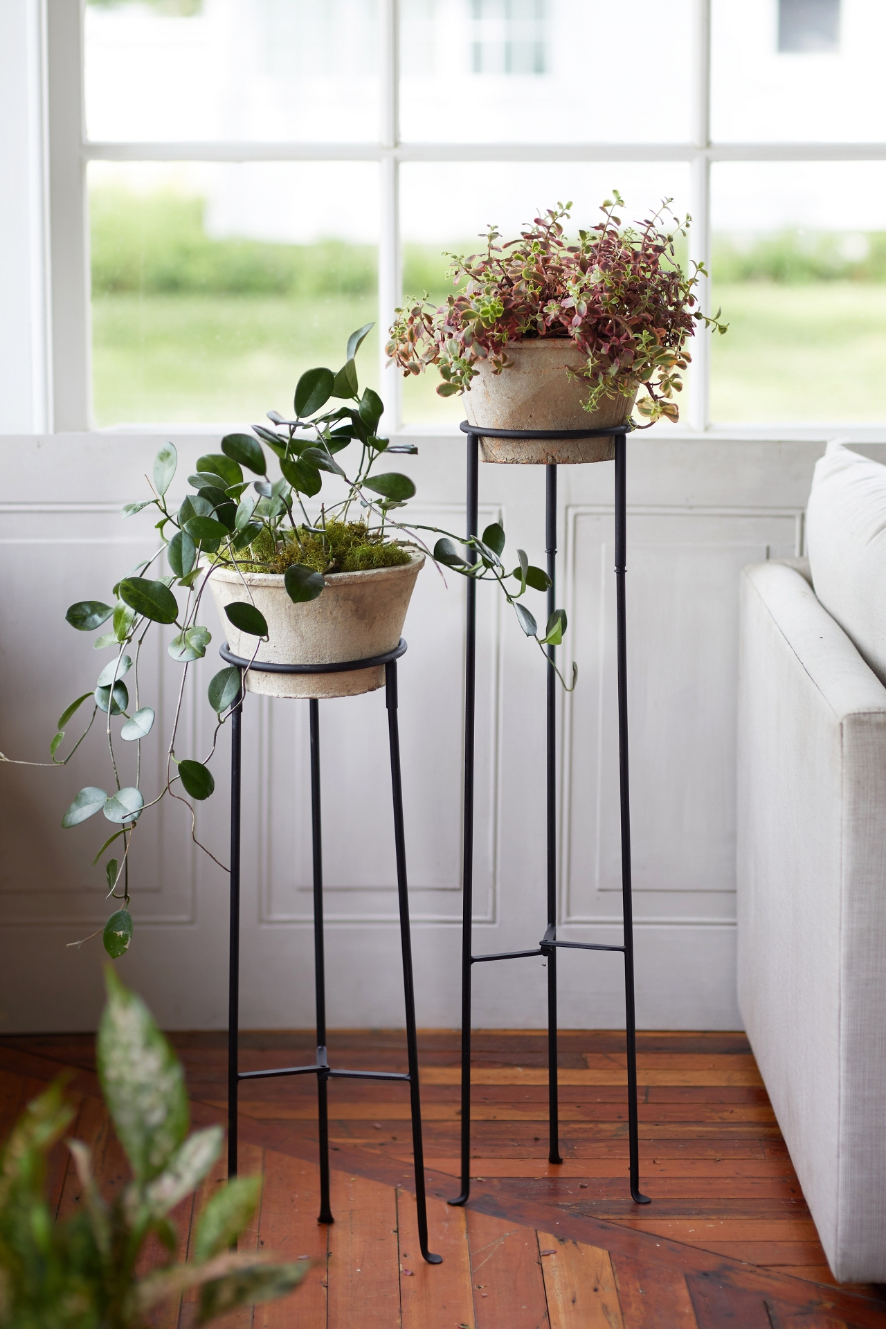 Tall Iron Plant Stand