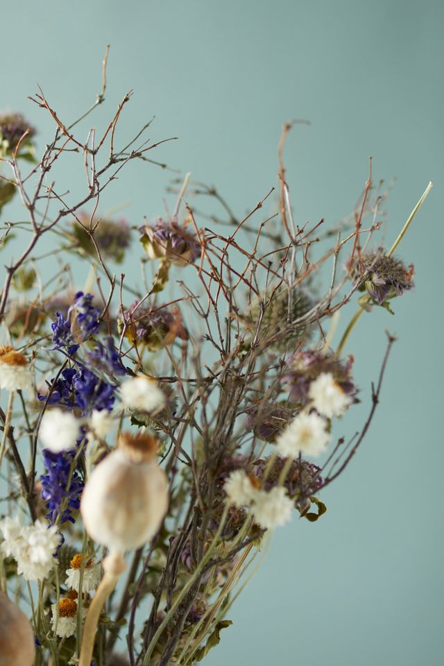 Preserved Blue Poppy Bouquet #1