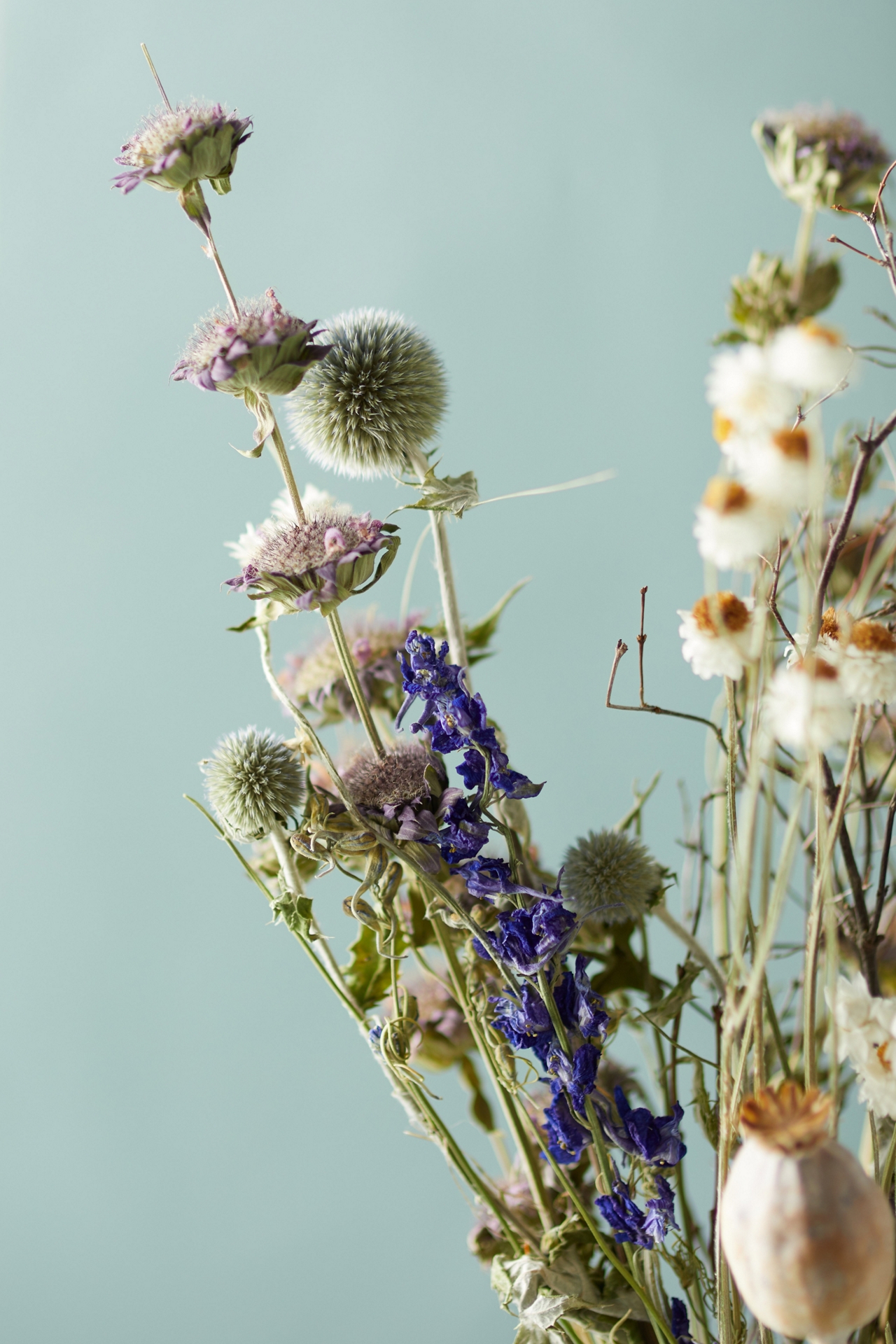 Preserved Blue Poppy Bouquet