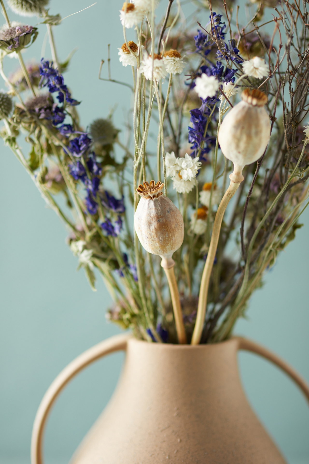 Preserved Blue Poppy Bouquet