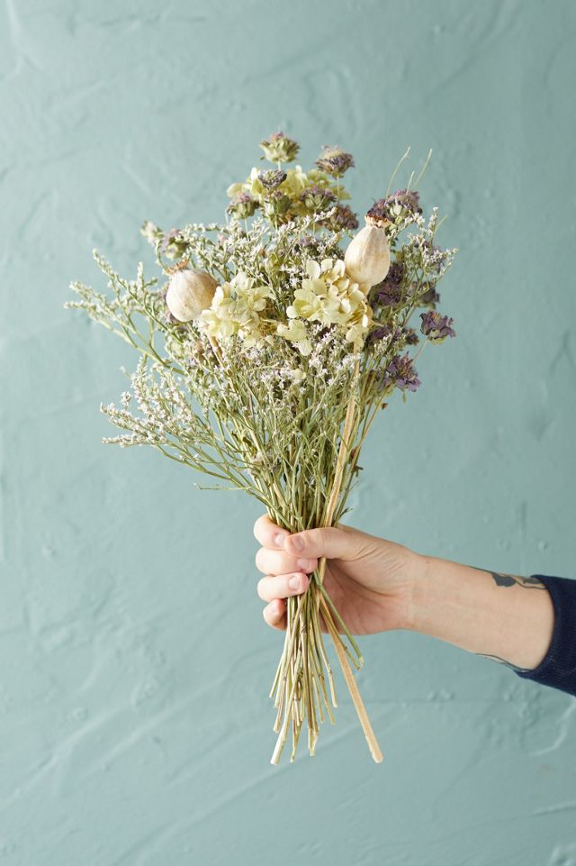Preserved Blue Poppy Bouquet #5
