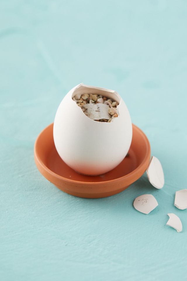 Eggling Grow Kits, Set of 3 #2