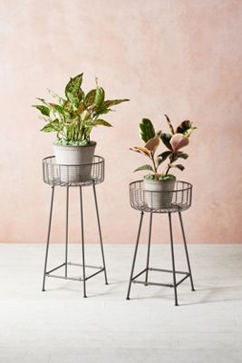 Wire Basket Plant Stand
