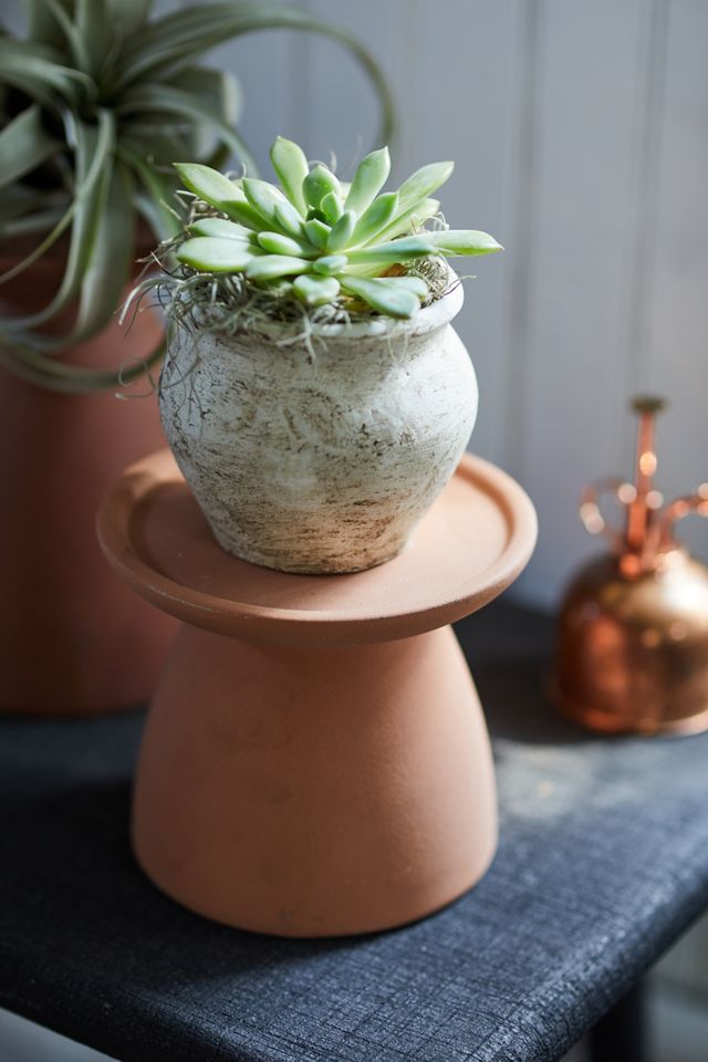 Ceramic Plant Riser #3